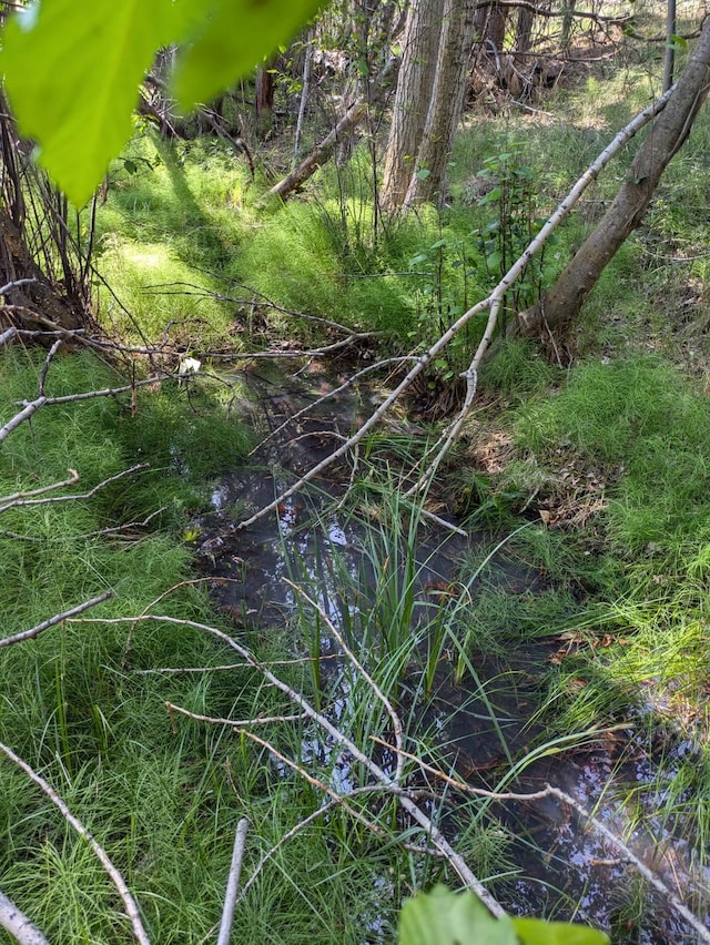 3979 Evenson Ln, Stevensville, MT 59870 - view of local wilderness