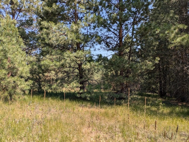 3979 Evenson Ln, Stevensville, MT 59870 - view of woods