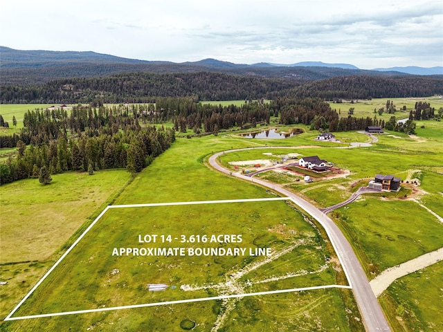 164 River Ranch Rd, Whitefish, MT 59937 - bird's eye view of a heavily wooded area and a water and mountain view
