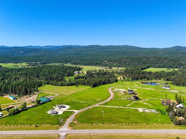 164 River Ranch Rd, Whitefish, MT 59937 - bird's eye view of a heavily wooded area and a water and mountain view