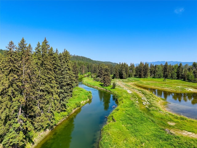 164 River Ranch Rd, Whitefish, MT 59937 - drone / aerial view of a forest and a water and mountain view
