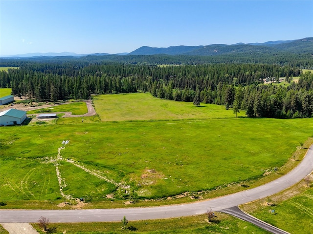 164 River Ranch Rd, Whitefish, MT 59937 - drone / aerial view of a mountainous background
