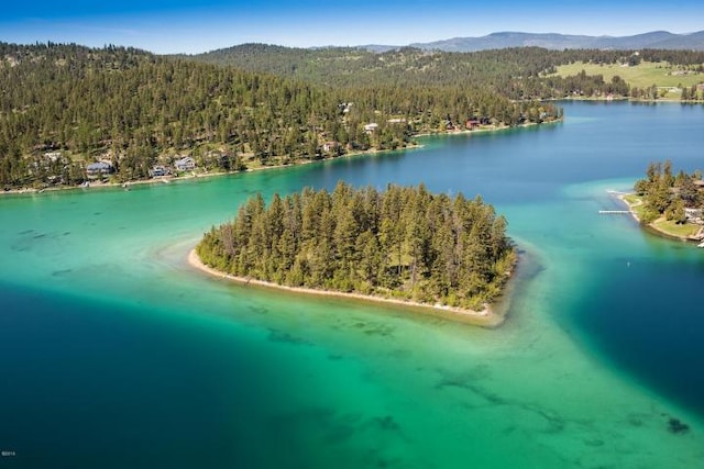 37 Roybals Way, Kalispell, MT 59901 - drone / aerial view of a heavily wooded area and a water and mountain view