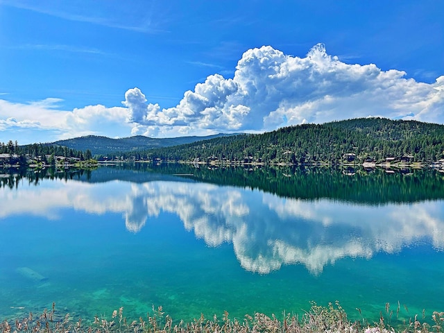 37 Roybals Way, Kalispell, MT 59901 - water view featuring a forest and a mountain backdrop