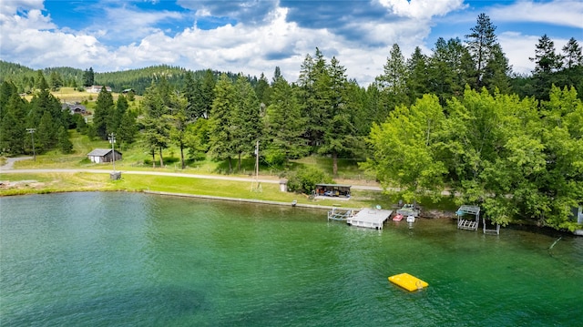 21253 Rollins Lakeshore Dr, Rollins, MT 59931