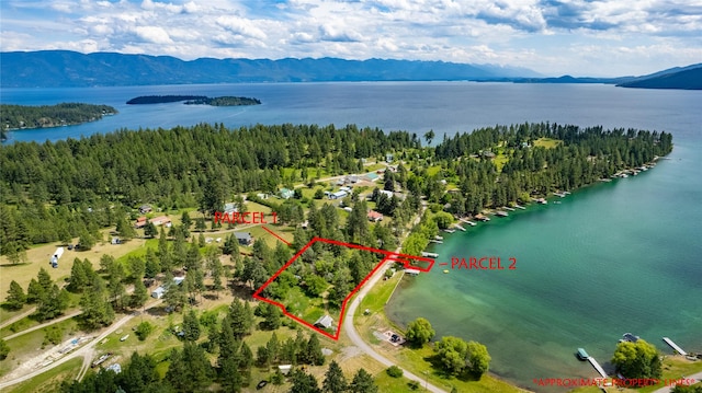 21253 Rollins Lakeshore Dr, Rollins, MT 59931
