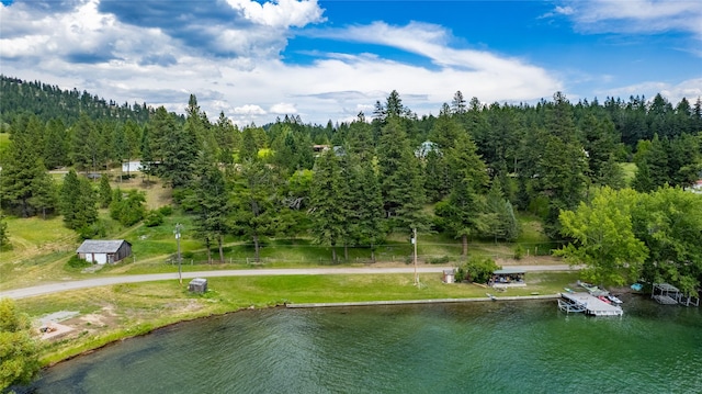 21253 Rollins Lakeshore Dr, Rollins, MT 59931