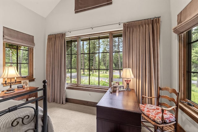 176 Whitefish Hills Loop, Whitefish, MT 59937 - bedroom featuring carpet and vaulted ceiling