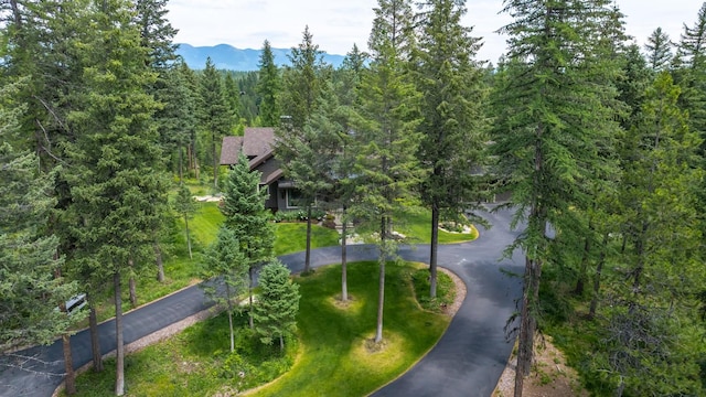 176 Whitefish Hills Loop, Whitefish, MT 59937 - bird's eye view of a heavily wooded area and mountains