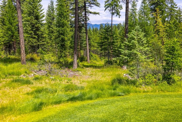 176 Whitefish Hills Loop, Whitefish, MT 59937 - view of wooded area with a mountain view