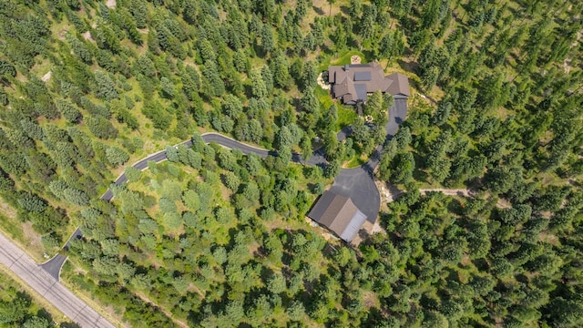 176 Whitefish Hills Loop, Whitefish, MT 59937 - aerial overview of property's location