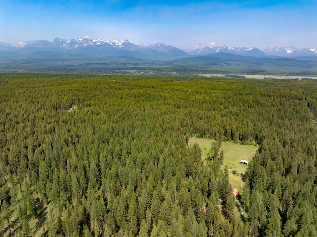 235 Red Meadow Rd, Polebridge, MT 59928 - drone / aerial view of a forest and mountains