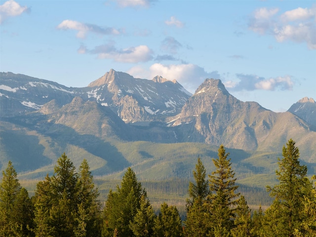 235 Red Meadow Rd, Polebridge, MT 59928 - mountain view