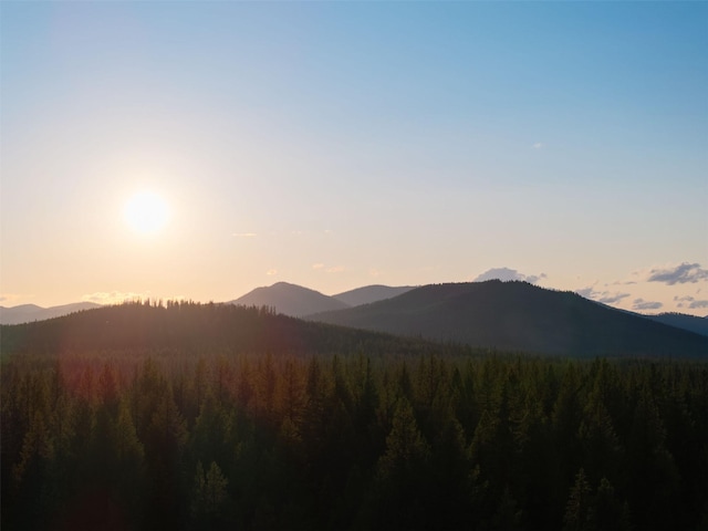 235 Red Meadow Rd, Polebridge, MT 59928 - mountain view with a forest