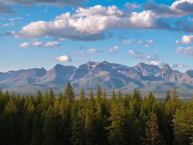 235 Red Meadow Rd, Polebridge, MT 59928 - view of mountain backdrop featuring a heavily wooded area