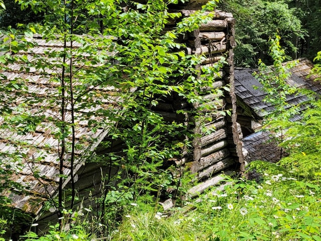 489 Grist Rd, West Glacier, MT 59936 - view of undeveloped land
