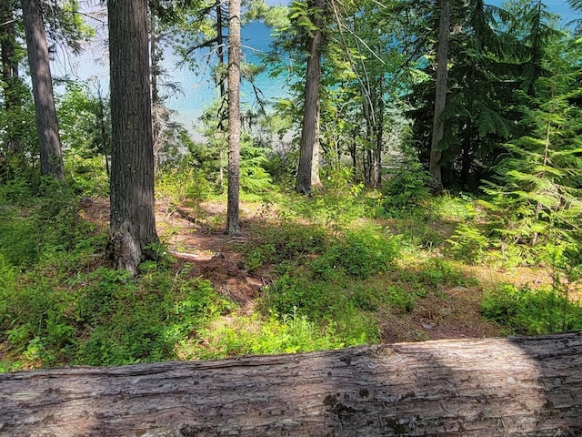 489 Grist Rd, West Glacier, MT 59936 - view of local wilderness