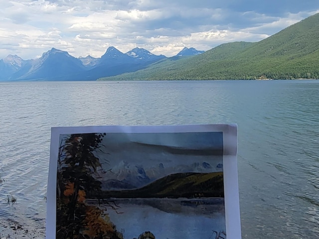 489 Grist Rd, West Glacier, MT 59936 - water view featuring a mountainous background