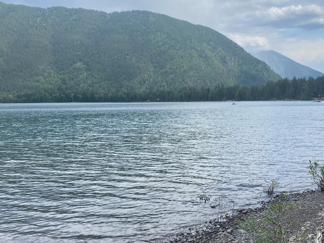 489 Grist Rd, West Glacier, MT 59936 - water view with a forest and mountains