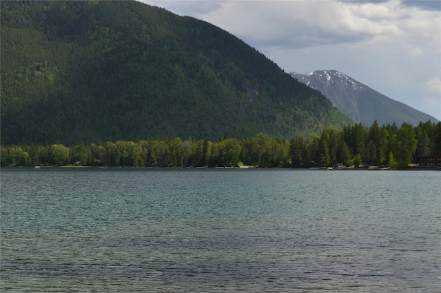 489 Grist Rd, West Glacier, MT 59936 - water view with a heavily wooded area and mountains