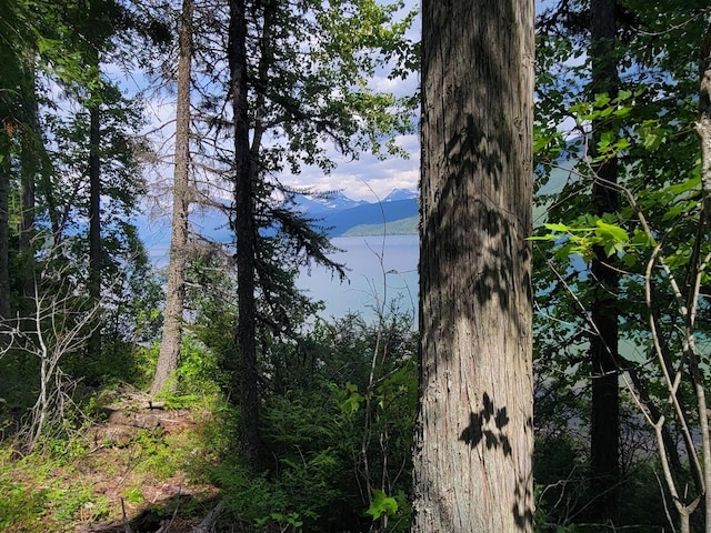 489 Grist Rd, West Glacier, MT 59936 - exterior view of a mountainous background