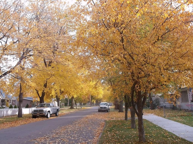 905 3rd Ave E, Kalispell, MT 59901 - view of asphalt street