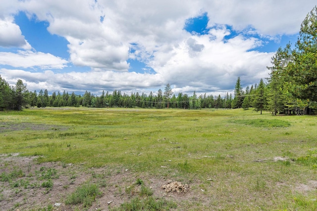 71 Cw Mitchell Ct, Marion, MT 59925 - view of yard with a forest view and a view of rural / pastoral area