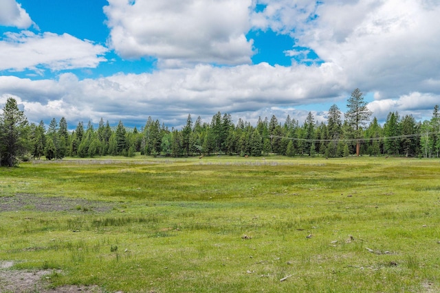 71 Cw Mitchell Ct, Marion, MT 59925 - view of tree filled area