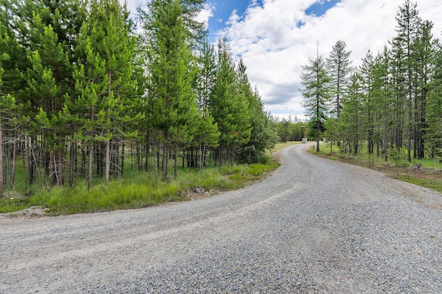 71 Cw Mitchell Ct, Marion, MT 59925 - view of street with a view of trees