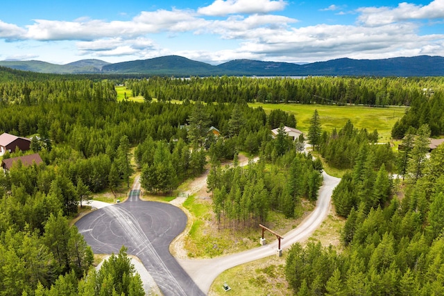 71 Cw Mitchell Ct, Marion, MT 59925 - drone / aerial view of mountains