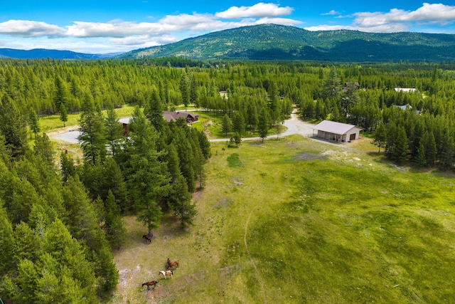 71 Cw Mitchell Ct, Marion, MT 59925 - view of subject property with a forest and a mountain backdrop