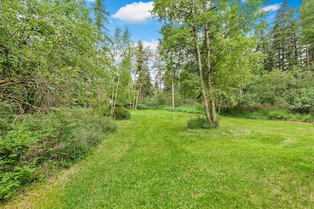 1255 Tamarack Ln, Columbia Falls, MT 59912 - view of green lawn