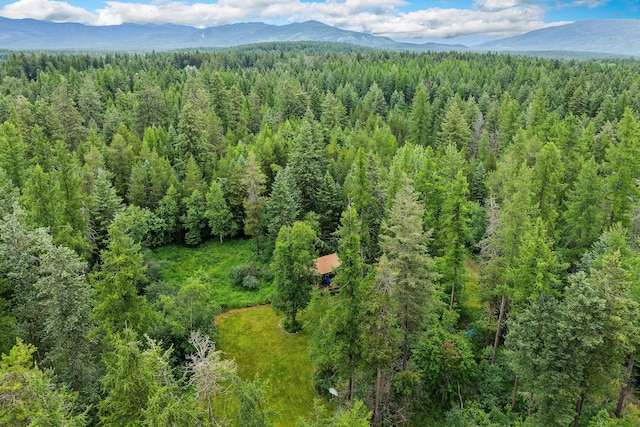 1255 Tamarack Ln, Columbia Falls, MT 59912 - bird's eye view of a mountain backdrop