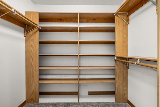 2206 US Highway 2 W, Kalispell, MT 59901 - spacious closet with carpet floors