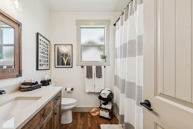 158 Swede Trl, Kalispell, MT 59901 - full bathroom with wood finished floors, vanity, plenty of natural light, and a shower with curtain