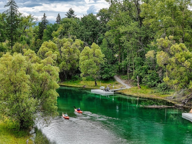 134 2nd St W Unit B, Whitefish, MT 59937 - water view featuring a forest