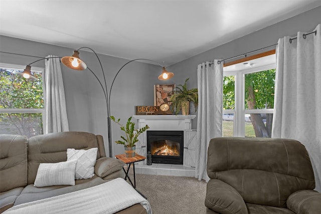 2321 8th Ave S, Great Falls, MT 59405 - living room with a glass covered fireplace, plenty of natural light, and carpet flooring