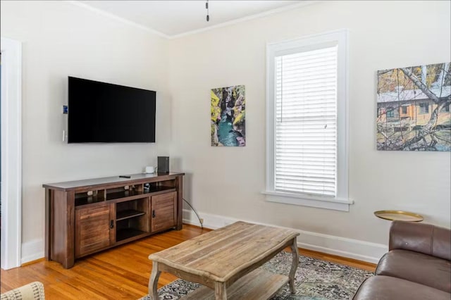 1046 3rd Ave E, Kalispell, MT 59901 - living area featuring light wood-style floors and ornamental molding