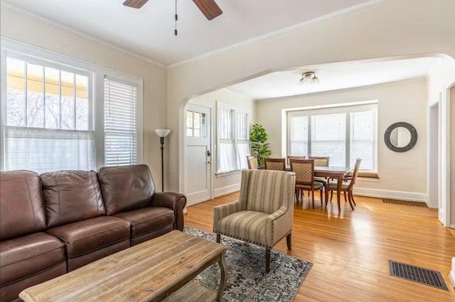 1046 3rd Ave E, Kalispell, MT 59901 - living room with a ceiling fan, arched walkways, light wood-style flooring, and crown molding