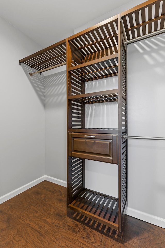 spacious closet featuring dark hardwood / wood-style flooring