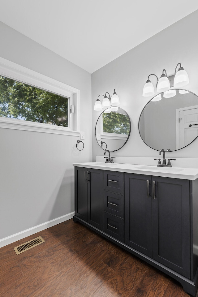 bathroom featuring vanity, hardwood / wood-style flooring, and a healthy amount of sunlight