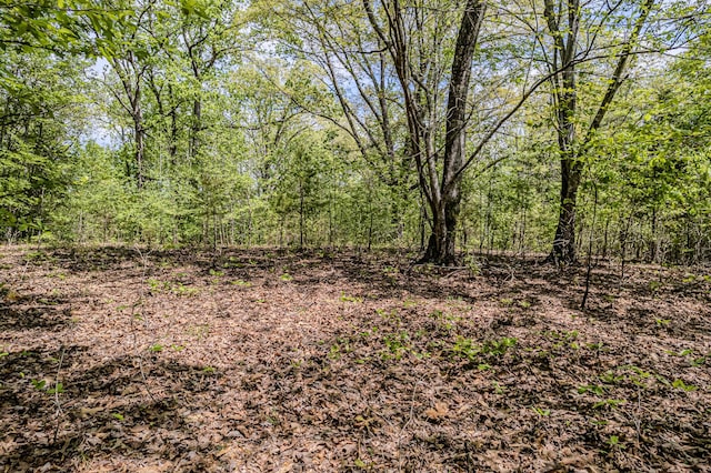 00 Euchee Rd, Ten Mile, TN 37880 - photo 22