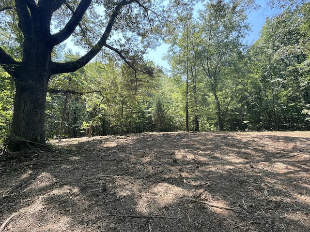 00 Euchee Rd, Ten Mile, TN 37880 - photo 7