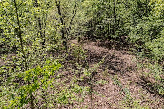 00 Euchee Rd, Ten Mile, TN 37880 - photo 24