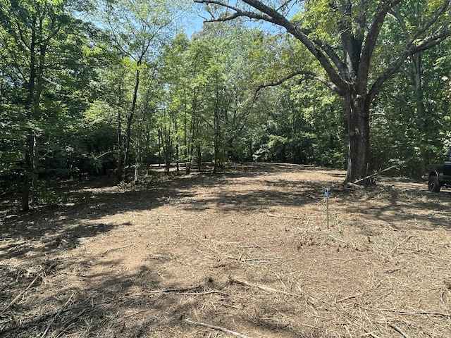 00 Euchee Rd, Ten Mile, TN 37880 - photo 10