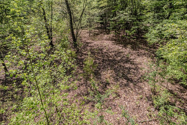 00 Euchee Rd, Ten Mile, TN 37880 - photo 13
