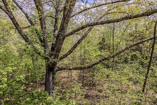00 Euchee Rd, Ten Mile, TN 37880 - photo 15