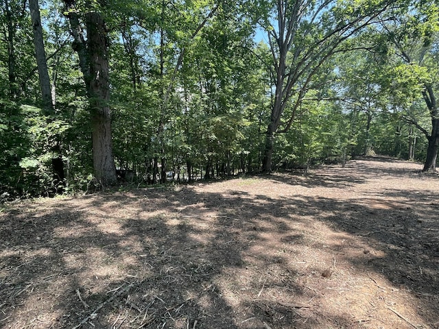 00 Euchee Rd, Ten Mile, TN 37880 - photo 4