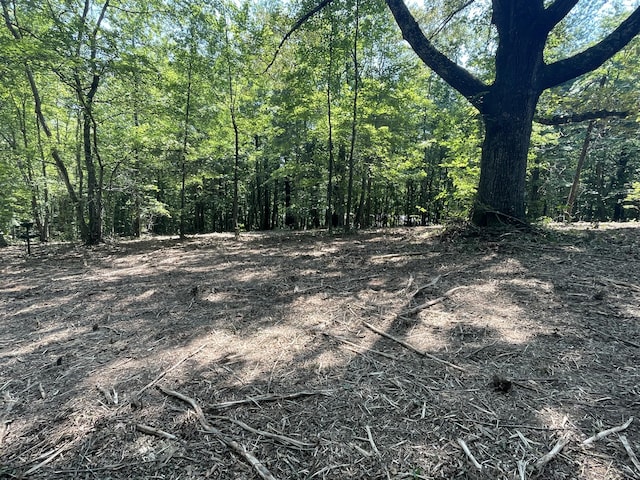 00 Euchee Rd, Ten Mile, TN 37880 - photo 6
