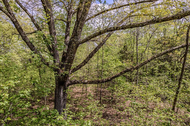 00 Euchee Rd, Ten Mile, TN 37880 - photo 25